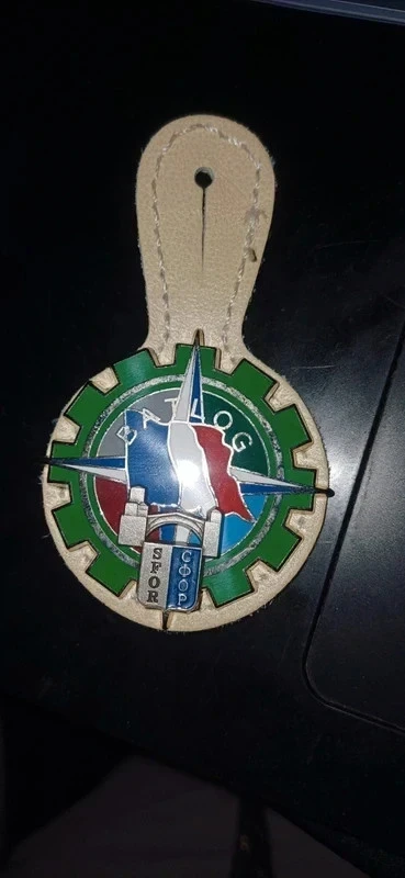 Insigne du bataillon logistique du train de la SFOR